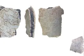 河南发现的3万年前人骨或是我们祖先，70万年前北京猿人咋不是？图片