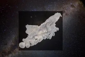 盘点地球上的“外星生物”，让人不禁发问：这是地球环境诞生的吗图片