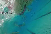 自由泳想游得漂亮？就这样练打腿吧图片