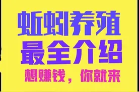 养殖蚯蚓利润高，技术简单好养活，想赚钱的别错过图片