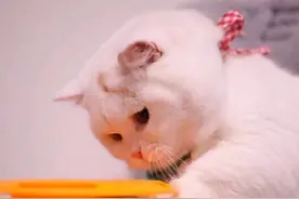 宝宝说话听不清？一定要尽早纠正发音图片