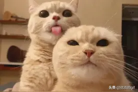 神回复：我是学医的，我爸是法医，我大一挂了解剖，差点被打断腿图片