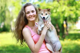 这群老人愤怒了：人是人狗是狗，狗若变儿子，人和狗还有啥区别图片