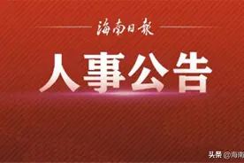 海口市拟任干部人选公告图片