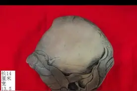 明清时期红丝砚图片