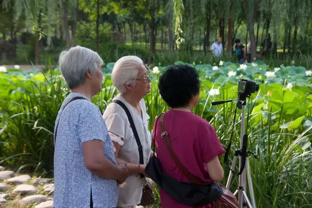 手把手教你拍好一张烂片