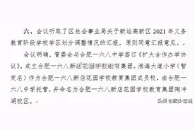 重磅，合肥学区划分明天公布！8大可能变动抢先看图片