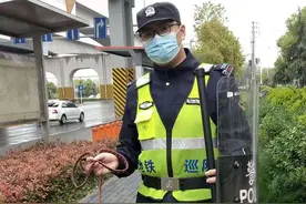 这是谁家的"傻大个"跑丢了？图片