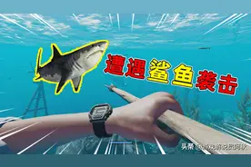 荒岛求生08：两度遭遇鲨鱼袭击，阿秋险象环生，凑齐装备图片