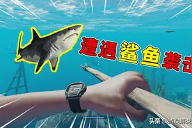 荒岛求生08：两度遭遇鲨鱼袭击，阿秋险象环生，凑齐装备图片