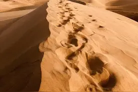 荒漠里的奇遇图片