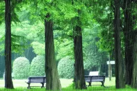 听，此刻，窗外，有雨在下……图片