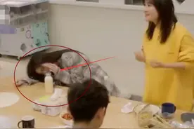 鞠婧祎大笑时手挡着脸？看了她没有挡脸时的笑，太美了图片