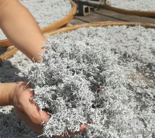 药物杀不死病毒，免疫力却可以！常喝它，提高免疫力