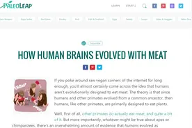 人的大脑如何随着肉而进化图片
