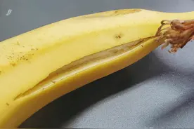 香蕉裂开还能吃吗？果农：是保存方法不对，牢记3招，放8天不发黑图片
