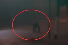 大连街上出现奇怪黑影，这到底是什么？图片