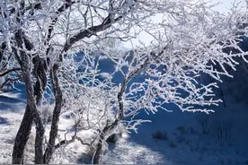 清明断雪谷雨断霜，俗语“清明不断雪，牛马都得歇”，啥意思呢？图片