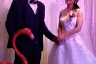 好姐妹今天结婚了，真为她感到高兴！图片