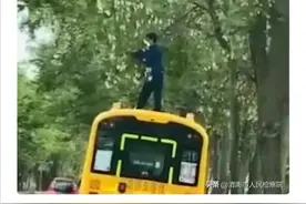 银川一校车司机爬上车顶摘槐花：孙子想吃图片