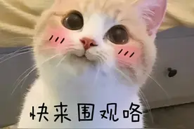 这些爆款国货美妆品牌，竟然来自广州！大碗白菜价！图片