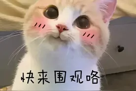 这些爆款国货美妆品牌，竟然来自广州！大碗白菜价！图片