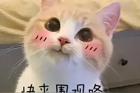 这些爆款国货美妆品牌，竟然来自广州！大碗白菜价！图片