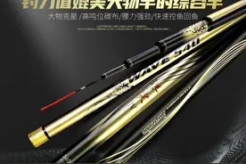 什么鱼竿质量好？（又轻又便宜）图片