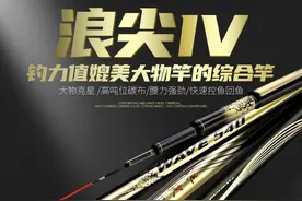 什么鱼竿质量好？（又轻又便宜）图片