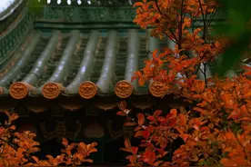 盘龙印象｜紫薇花落了，叶红了，黑龙潭公园美得穿越了图片