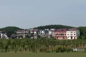 今生做亲家，来世为姐妹图片