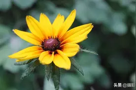 摄影：为什么照片总是拍糊或拍不清楚？问题都出在这里图片