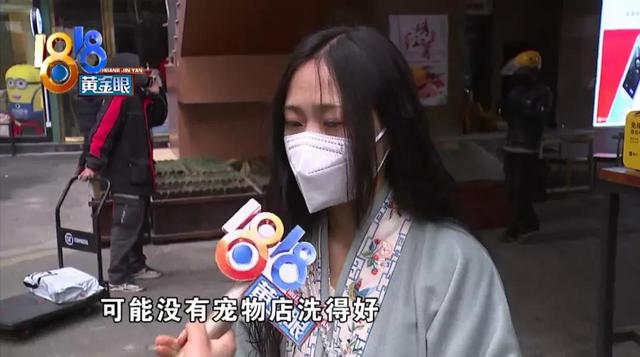 抖英短视频破解版（小猫死在烘干箱）