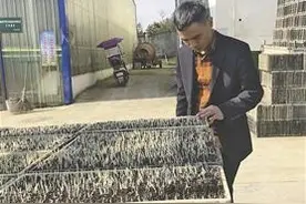 让梦想开出最美的花图片