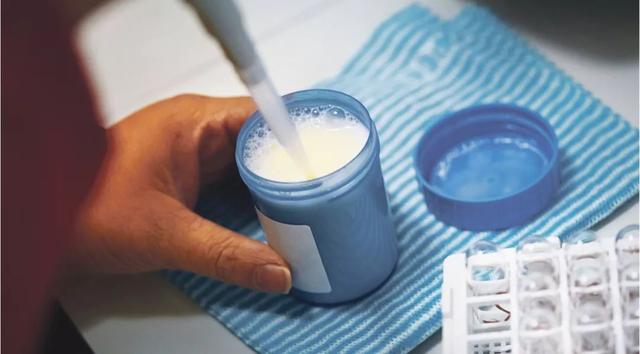 哪种蛋白质最适合增肌？科学百般折腾后得出了结果