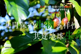 生物多样性 |【NO.201】红河约您一起迎COP15盛会 每天一物开启红河生物多样性之门图片