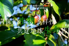 生物多样性 |【NO.201】红河约您一起迎COP15盛会 每天一物开启红河生物多样性之门图片