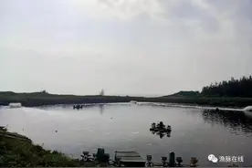 亚盐过高的塘口怎么处理图片