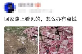 “回家路上看到这么多钱，背包也装不下啊？”现在怎么办图片
