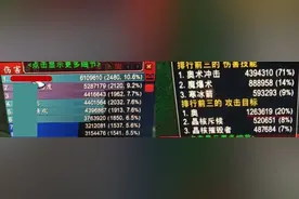 魔兽世界TBC怀旧服：风暴金团新套路？这样毛伤害100%拿补贴图片