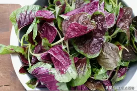 在泸州，从三月开始到端午结束，有种有颜色的菜下饭安逸图片