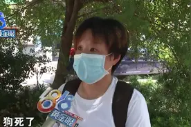 土狗绝育过程中死亡，宠物医院负责人被撤职……图片