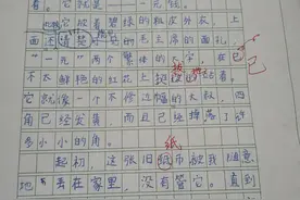 一个孩子对人民币的认知和感悟图片