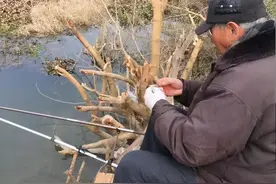 冬季野钓到底能不能打重窝？这篇文章可能和你想的不一样图片