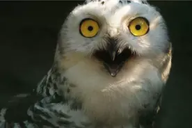 彩民众生相：中奖之后，你会怎么做？图片