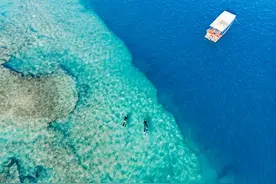 男人一半是君子，一半是动物，女人一半是天使，一半是老虎图片