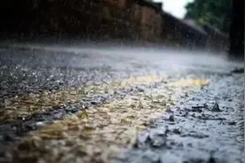 暴雨频频“上线”，家里墙面受潮发霉怎么办？图片