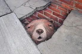 David Zinn 短暂的街头艺术图片