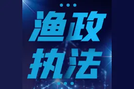 宁波禁止191艘不适航渔船出海捕鱼图片