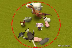 迷你世界 动物竞技场 和迅猛龙玩丢手绢图片